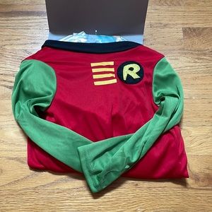 Halloween costume for dog. Robin.